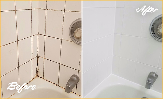 Before and After Picture of a Olga Shower Tile and Grout Cleaned to Eliminate Mold