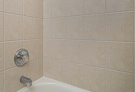 Tile and Grout Services After