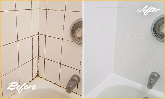 Before and After Picture of a Port Charlotte Shower Tile and Grout Cleaned to Eliminate Mold