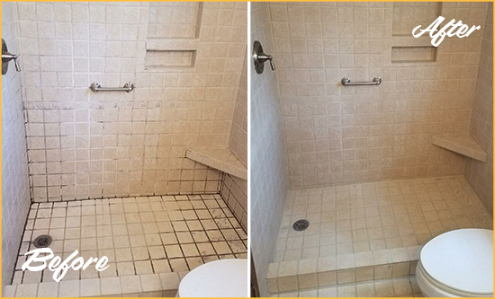 Before and After Picture of a Lely Shower Grout Cleaned to Remove Mold