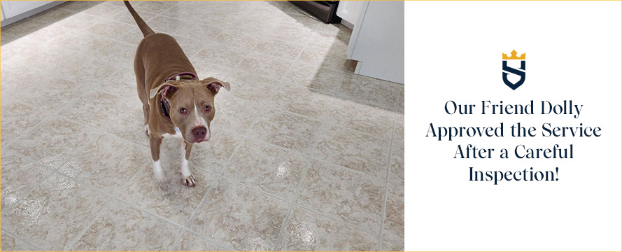 Dolly Inspected the Floor Restored by Our Expert Tile and Grout Cleaners in Punta Gorda, FL