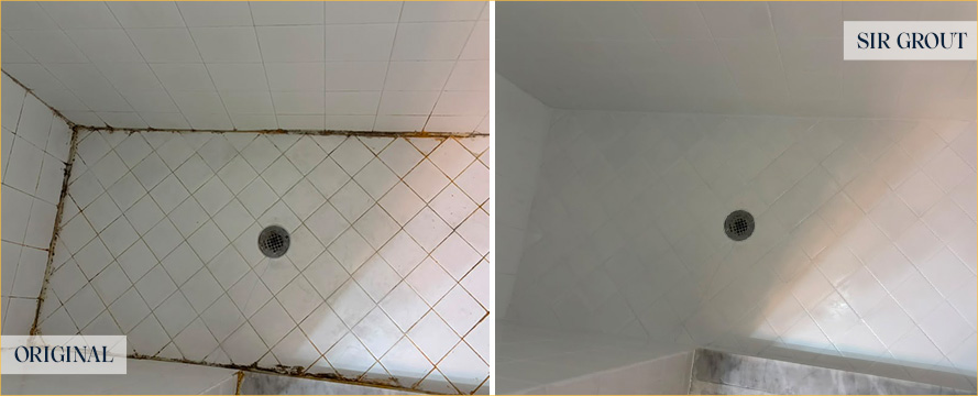 Shower Restored by Our Skilled Tile and Grout Cleaners in Fort Myers, FL