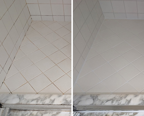 Shower Before and After a Grout Sealing in Naples, FL 
