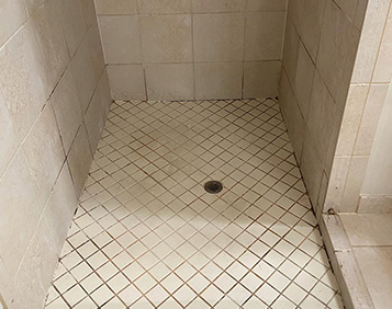 Shower - Color Seal & Regrout Before Image