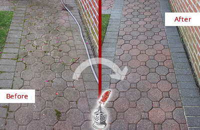 Sir Grout Cleans and Color Enhances this Concrete Paver Before and After Picture of Concrete Paver Cleaned and Color Enhanced