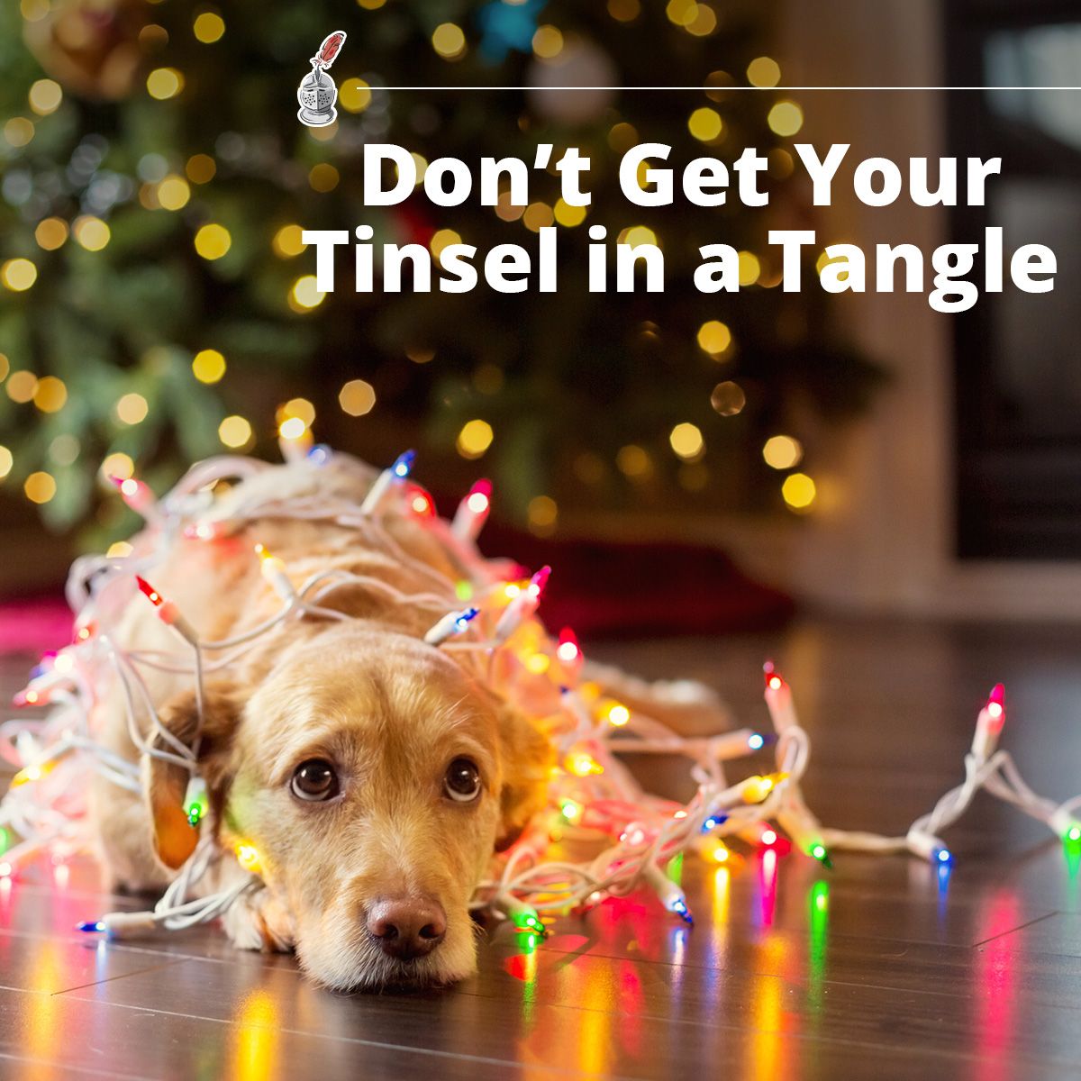 Don't Get Your Tinsel in a Tangle