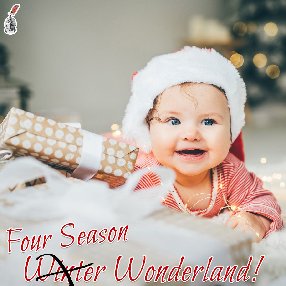 Four Season Wonderland!