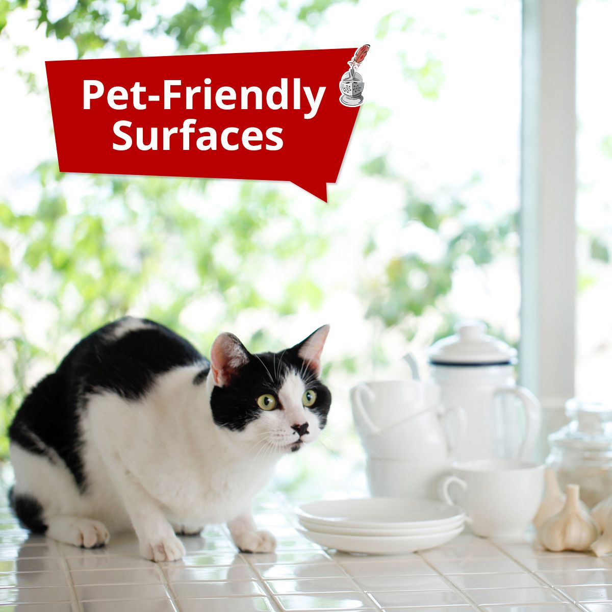 Pet-Friendly Surfaces
