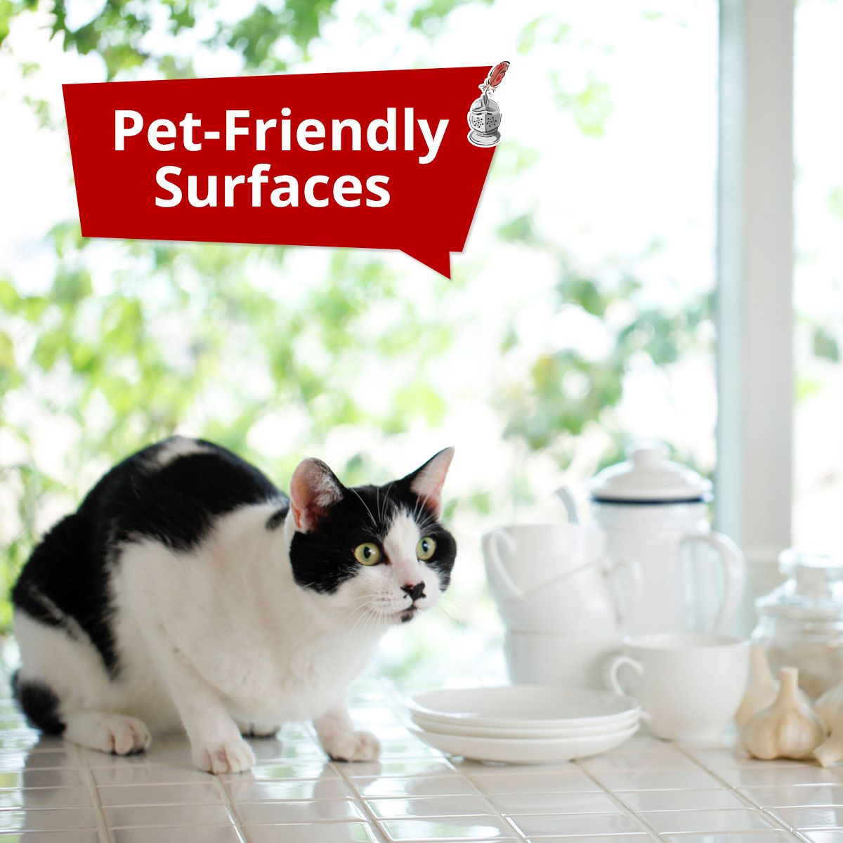 Pet-Friendly Surfaces