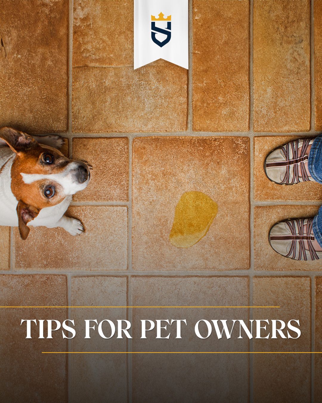 Tips for Pet Owners